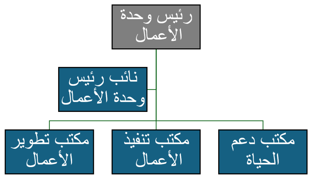 الهيكل التنظيمي